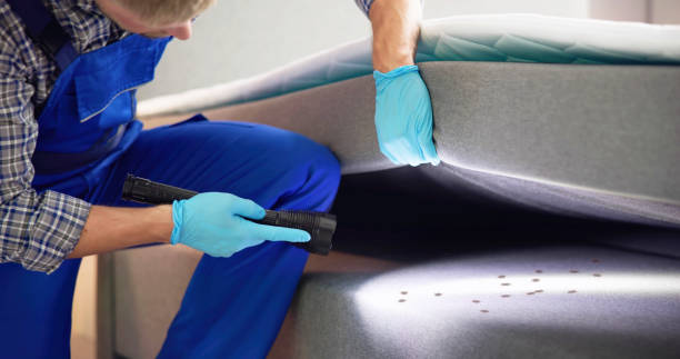 Best Affordable Pest Control Services  in Oak Grove, MO