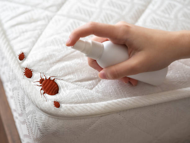 Best Pest Prevention Services  in Oak Grove, MO