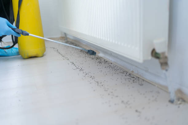 Best Cockroach Control Services  in Oak Grove, MO