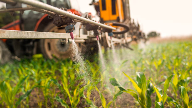Best Ant Control Services  in Oak Grove, MO